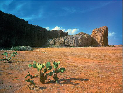 North Coast Desert
